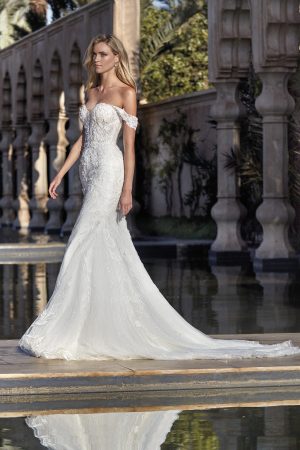 Kenai - New Collection  2026