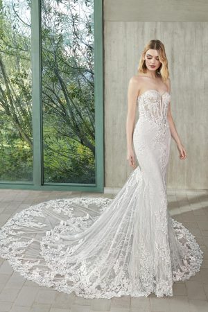 Georgi - New Collection 2026