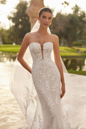 Oliban - New Collection 2026
