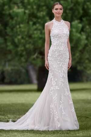 Ofri - New Collection 2026