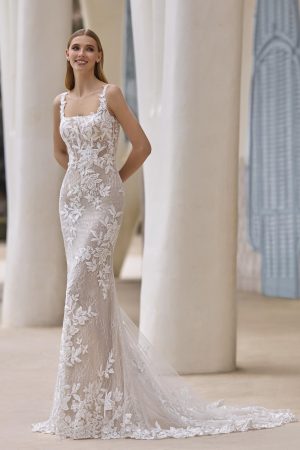 Zeala - New Collection 2026