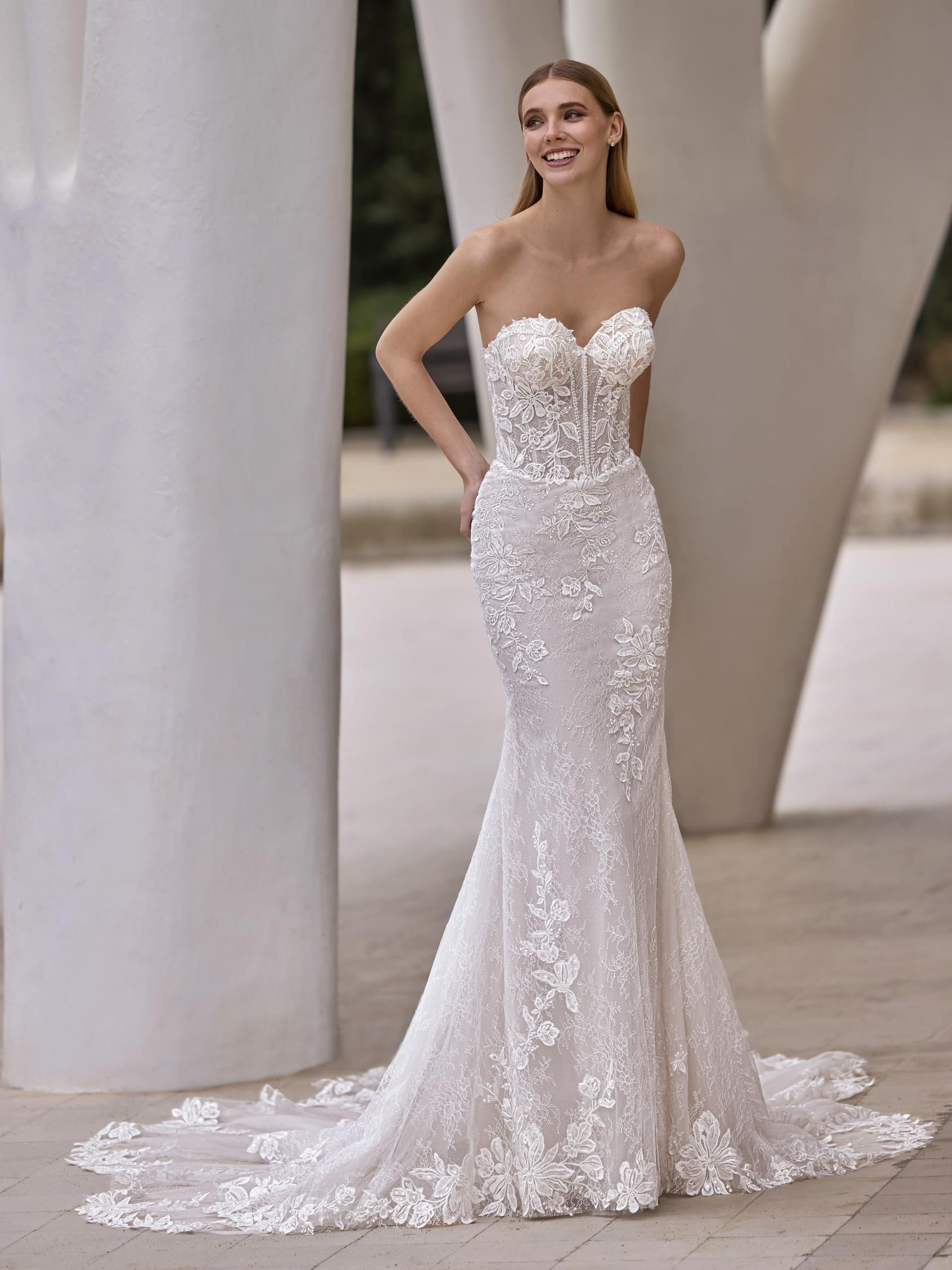 Zillah – New Collection 2026 (Coming soon)
