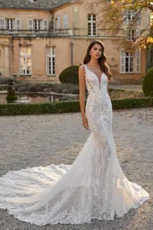 Vimra - New Collection 2026