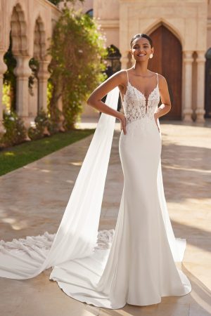 Oleo - New Collection 2026
